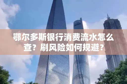 鄂尔多斯银行消费流水怎么查?刷风险如何规避?