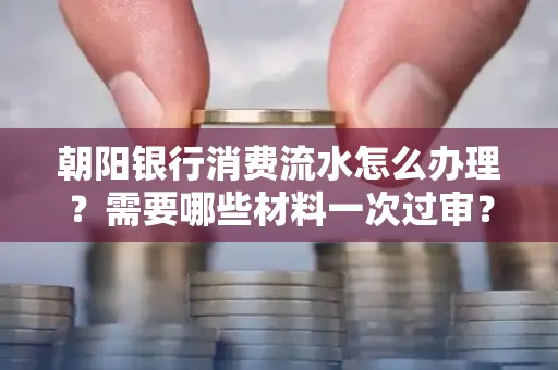 朝阳银行消费流水怎么办理?需要哪些材料一次过审?